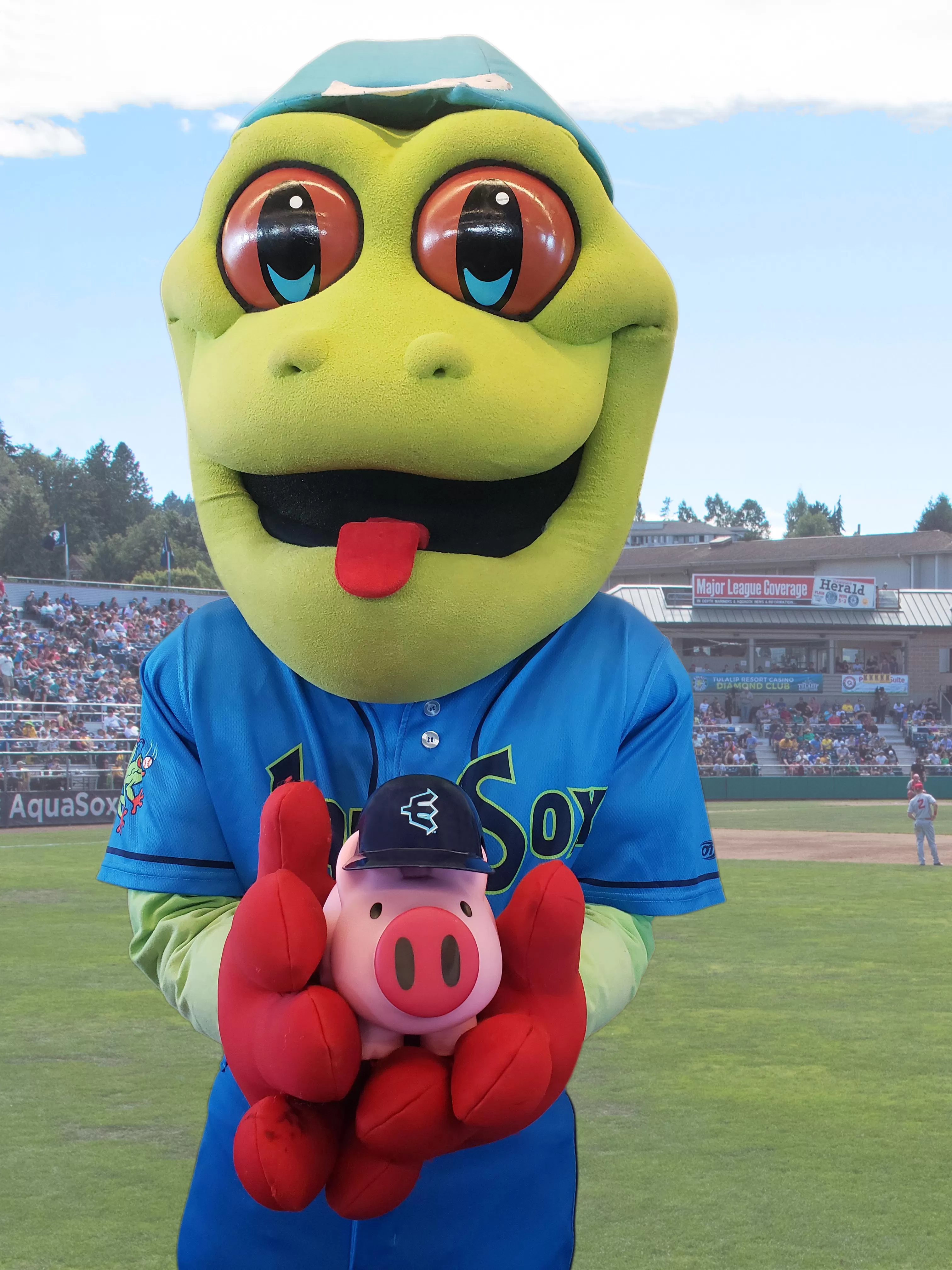 aquasox